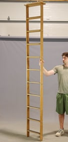 Library Ladder