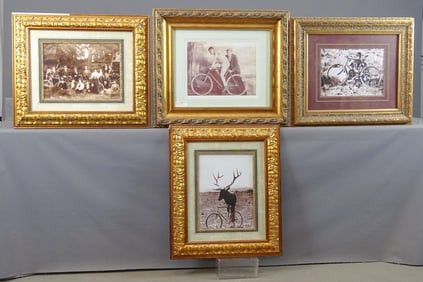 Framed Bicycle Photographs