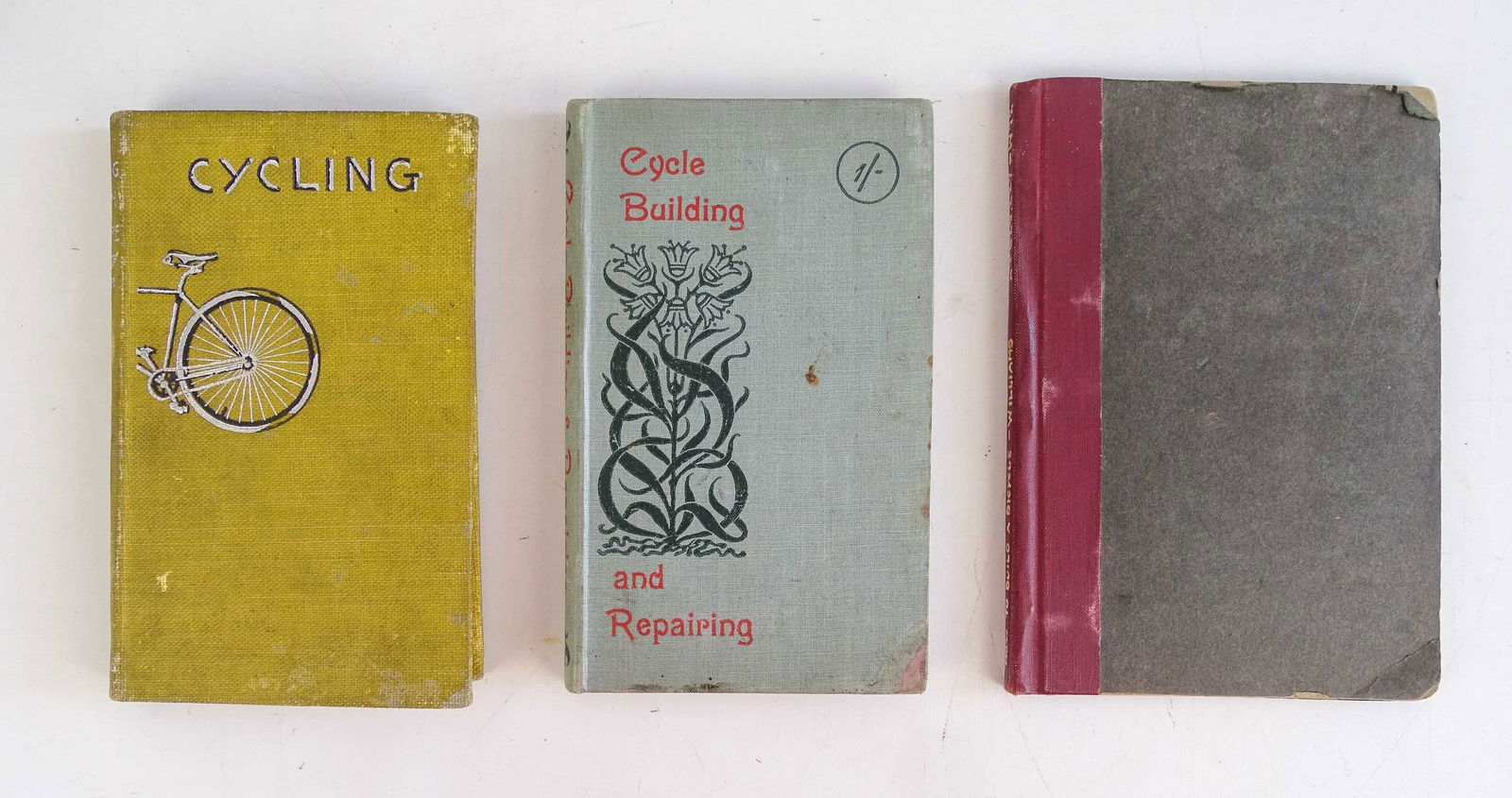 Bicycle Books Lot (1 of 14)