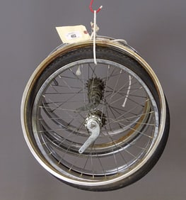 Schwinn Bicycle Rims