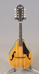 Strad-O-Lin Mandolin