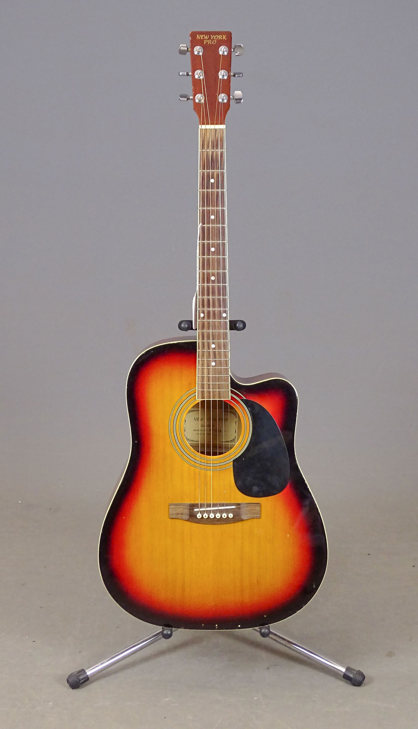 New York Pro Acoustic Guitar (1 of 10)