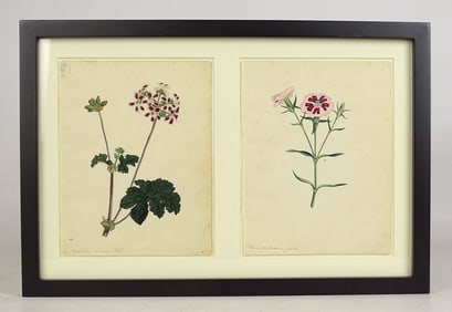 Louisa Ketchum (1798-(?)