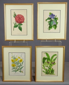 Botanical Prints