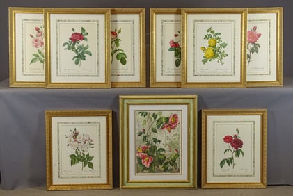 Floral Print Collection