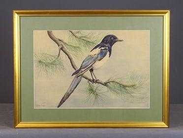 Allan Brooks (1869-1945)