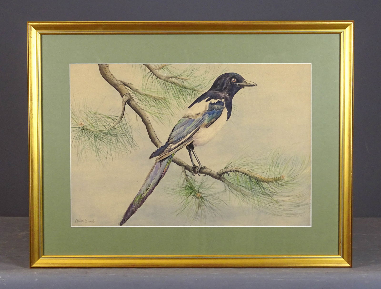 Allan Brooks (1869-1945) (1 of 7)