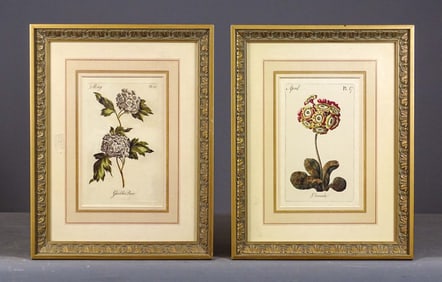 Pair of Botanical Prints