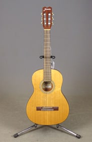 Jasmine Acoustic Guitar