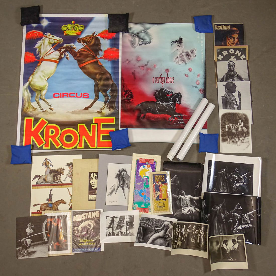 Circus and Misc. Ephemera Lot (1 of 16)