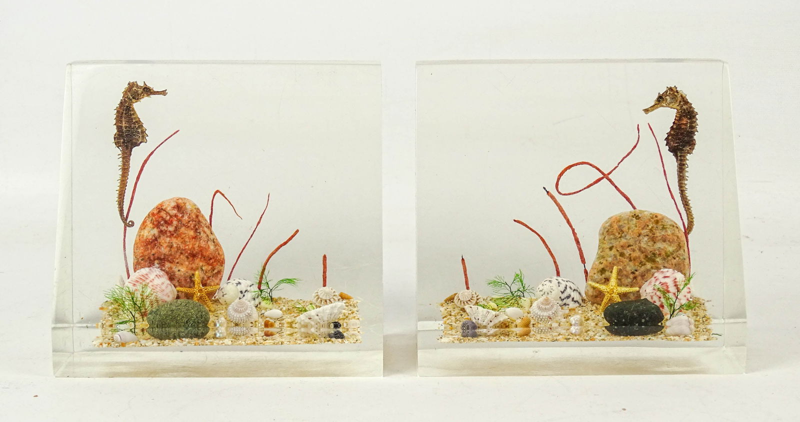 Pair Mid Century Bookends: Pair of sea-life motif plastic Mid Century bookends. 5 1/2" x 3" x 5".