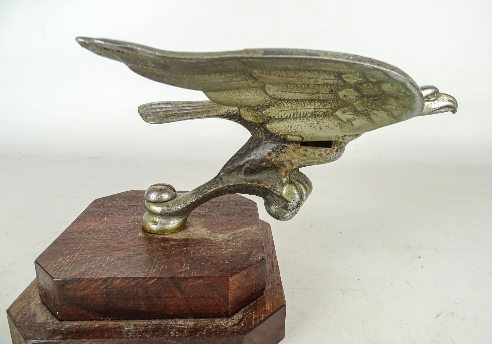 Eagle Moto Mascot - 4