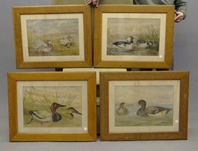 A. Pope Jr. Duck Prints: Set of 4 framed "A. Pope Jr." bird prints. Sights 13 1/2" x 19".