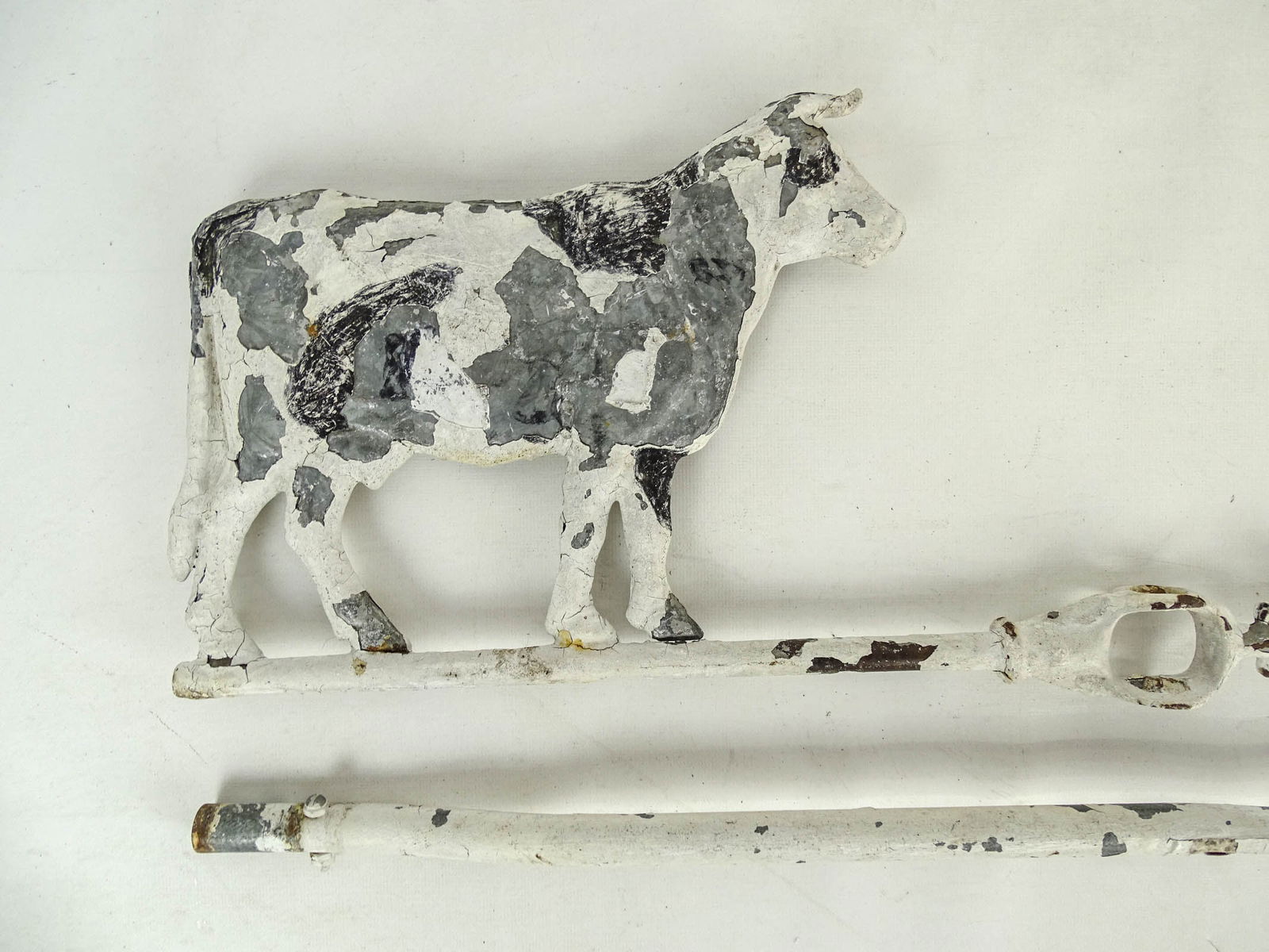 Cow Directional - 5