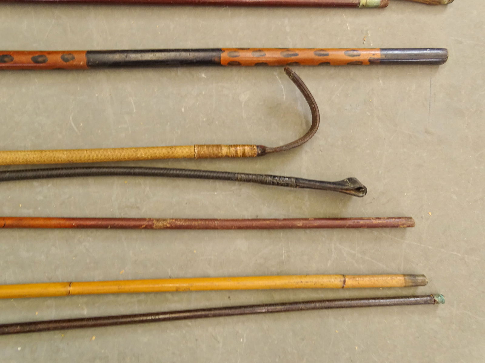Large Lot of Canes & Crops - 11