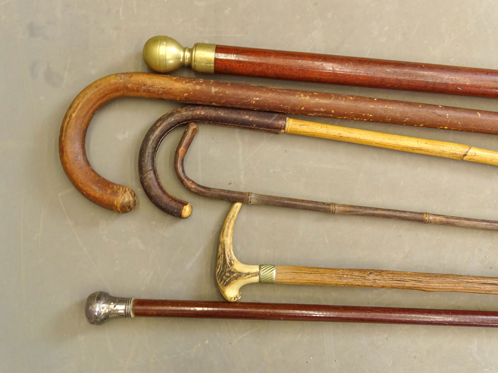 Large Lot of Canes & Crops - 12