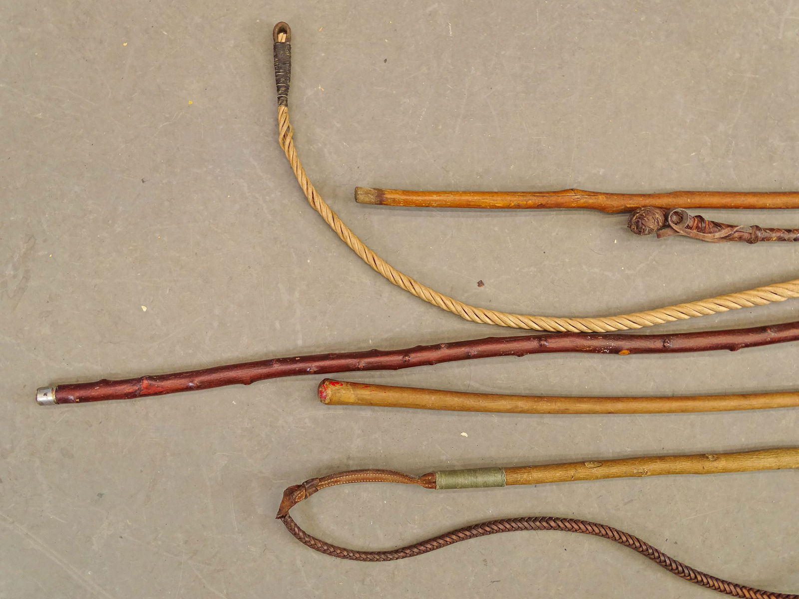 Large Lot of Canes & Crops - 15