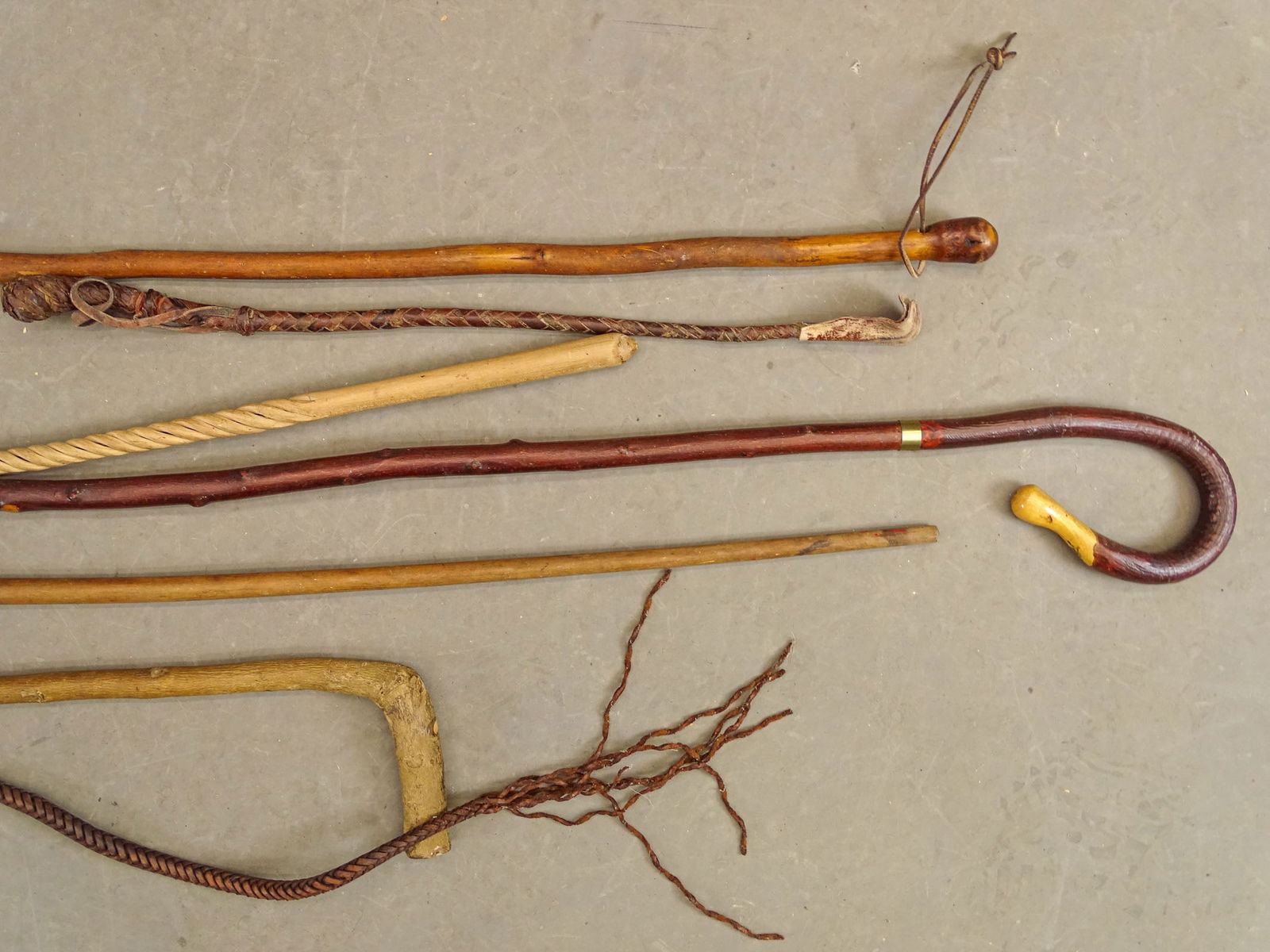 Large Lot of Canes & Crops - 16