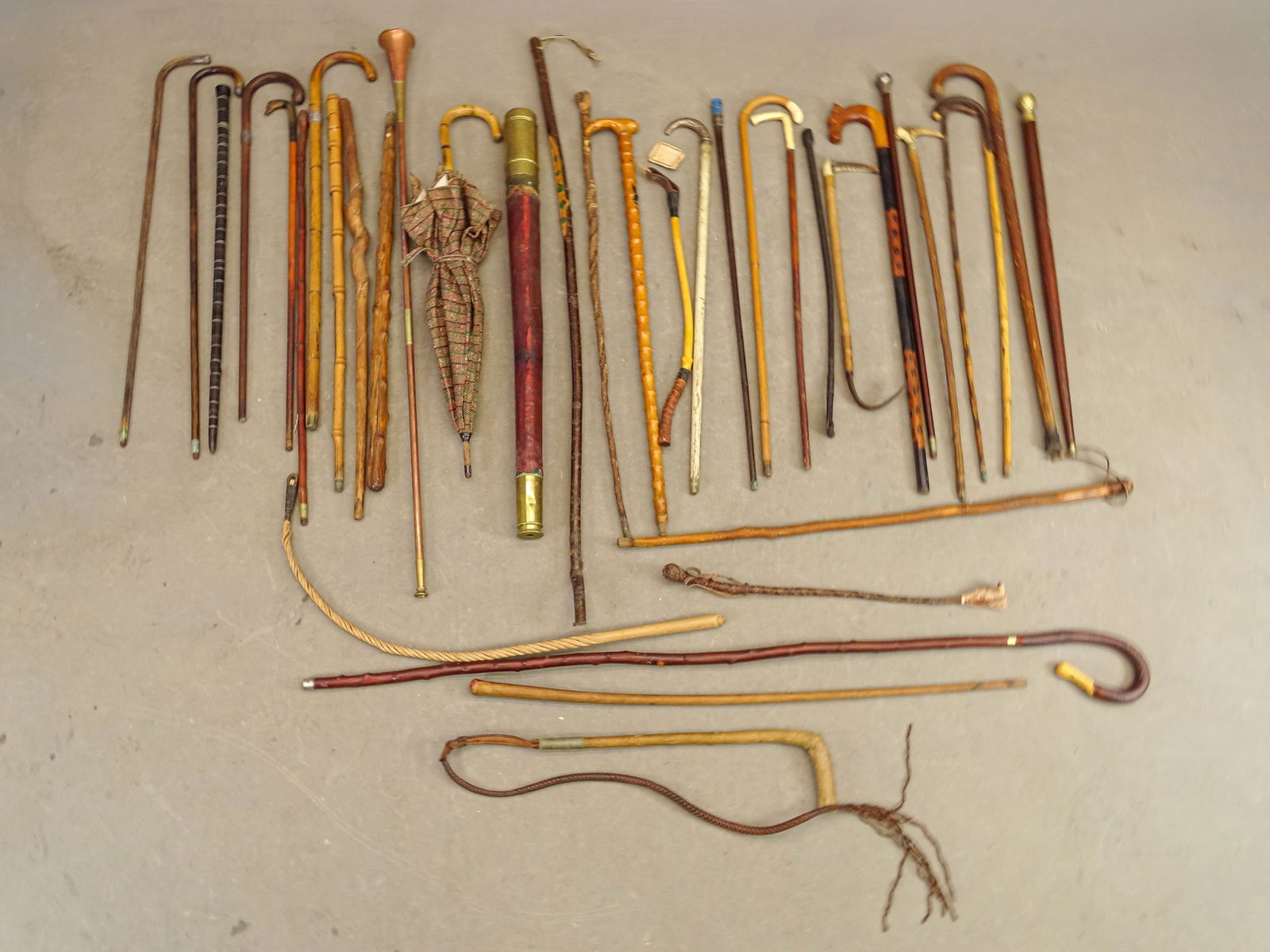 Large Lot of Canes & Crops (1 of 16)