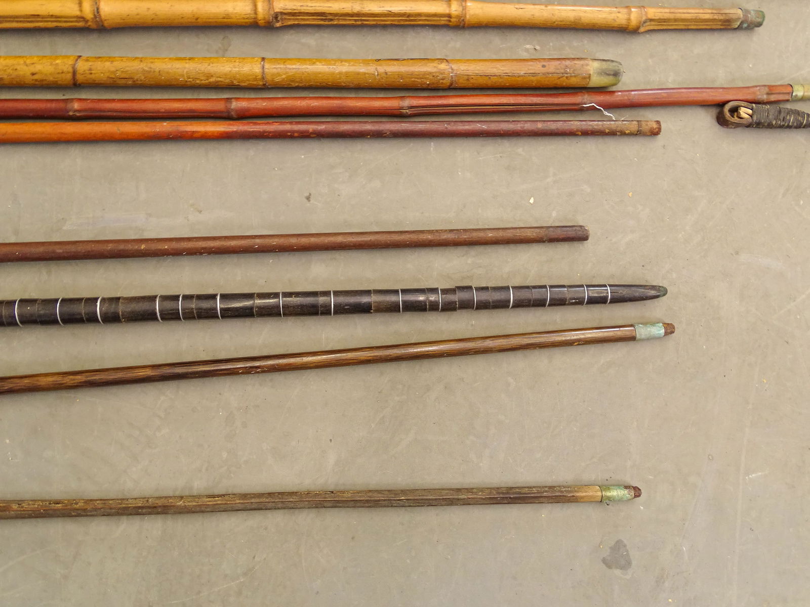 Large Lot of Canes & Crops - 3