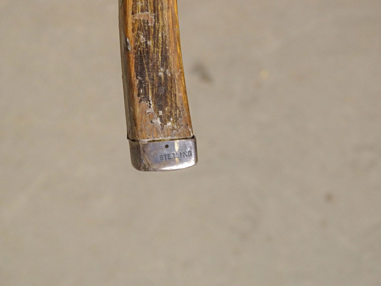 Large Lot of Canes & Crops - 4