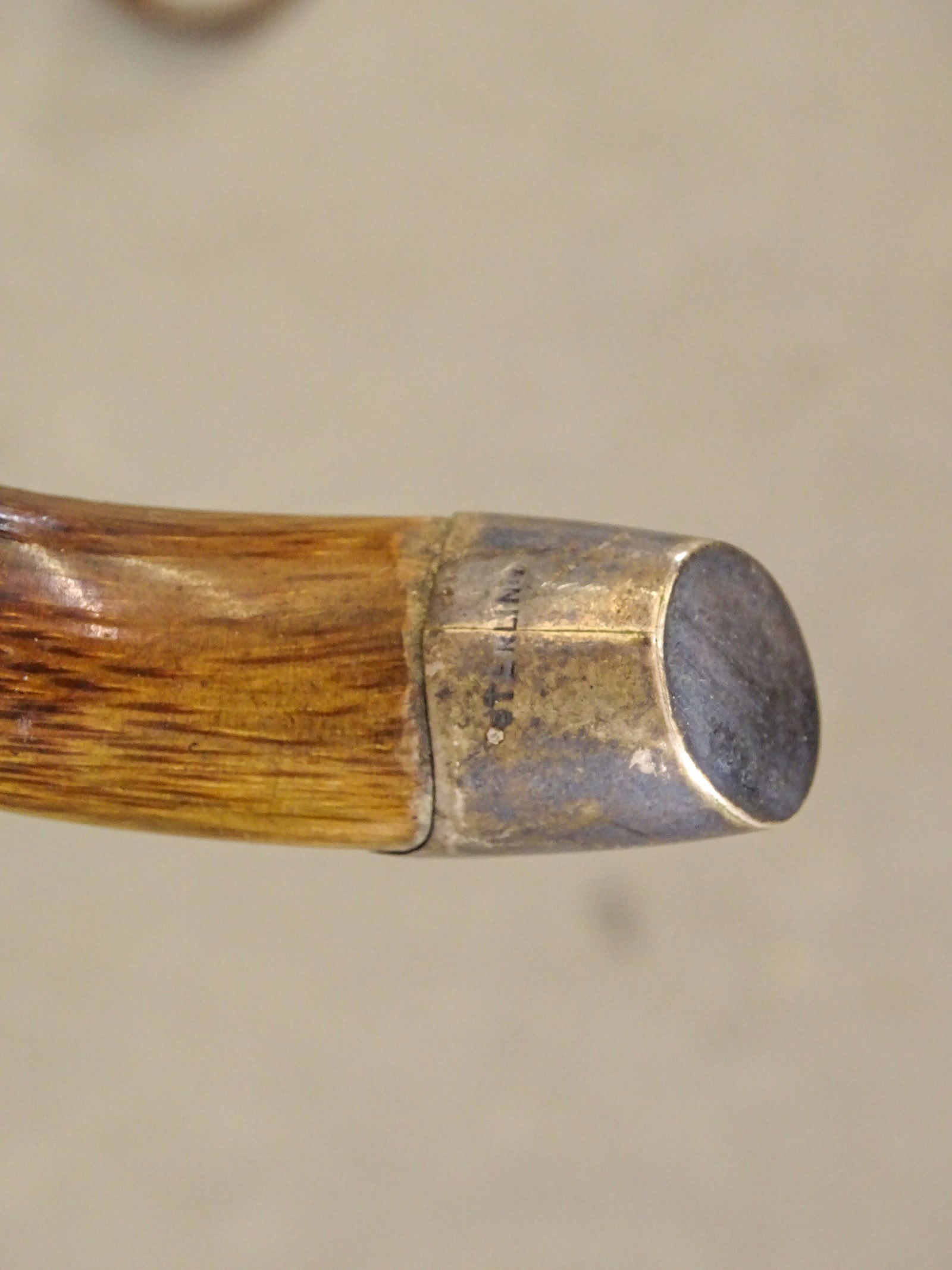 Large Lot of Canes & Crops - 5