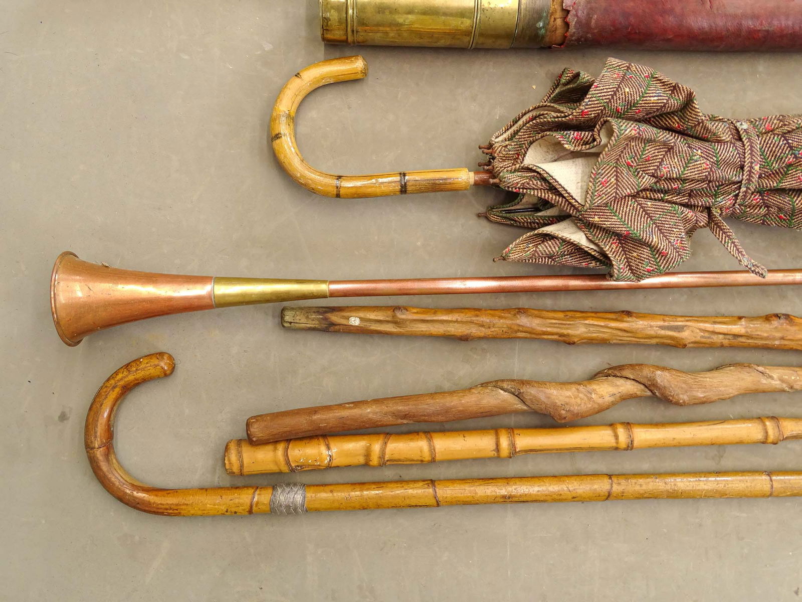 Large Lot of Canes & Crops - 6