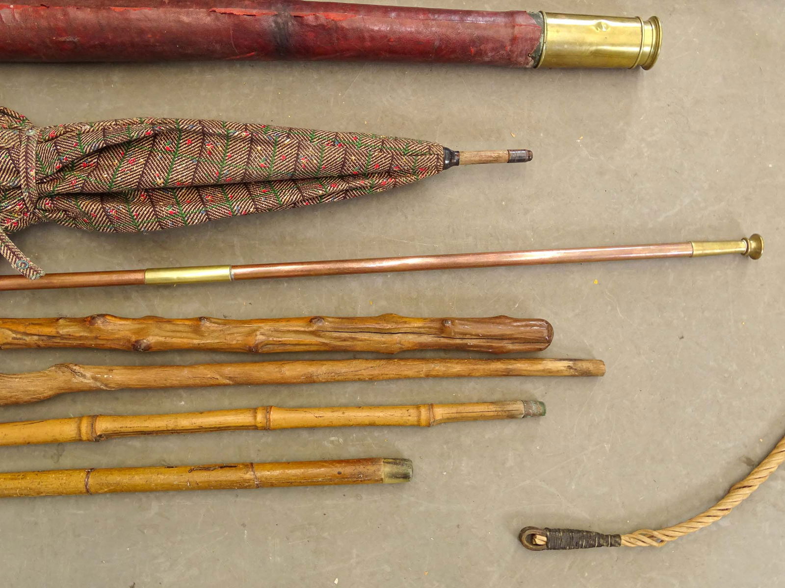 Large Lot of Canes & Crops - 7