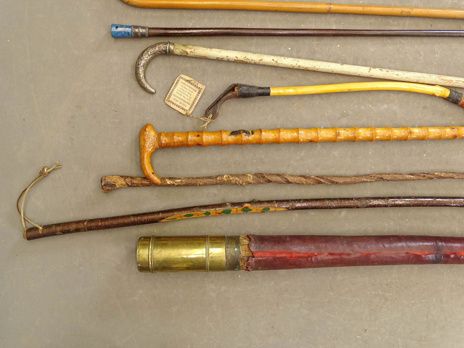Large Lot of Canes & Crops - 8
