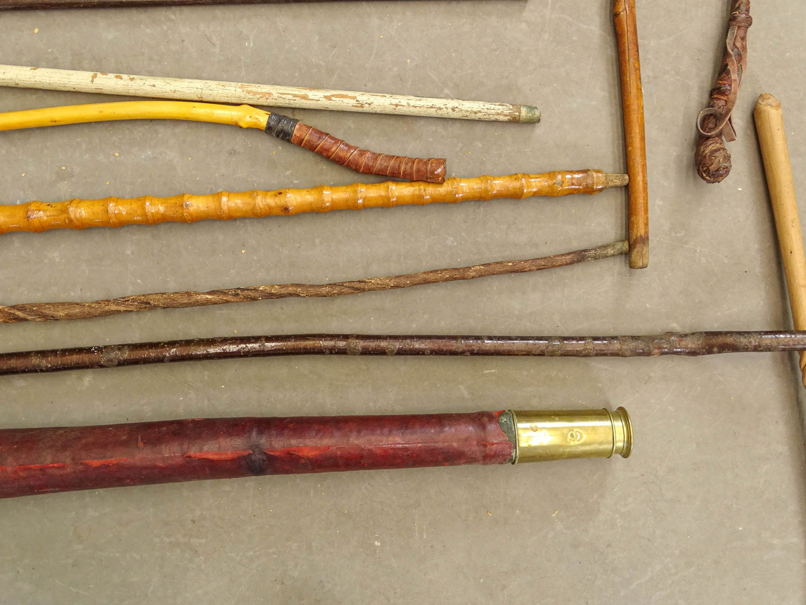 Large Lot of Canes & Crops - 9