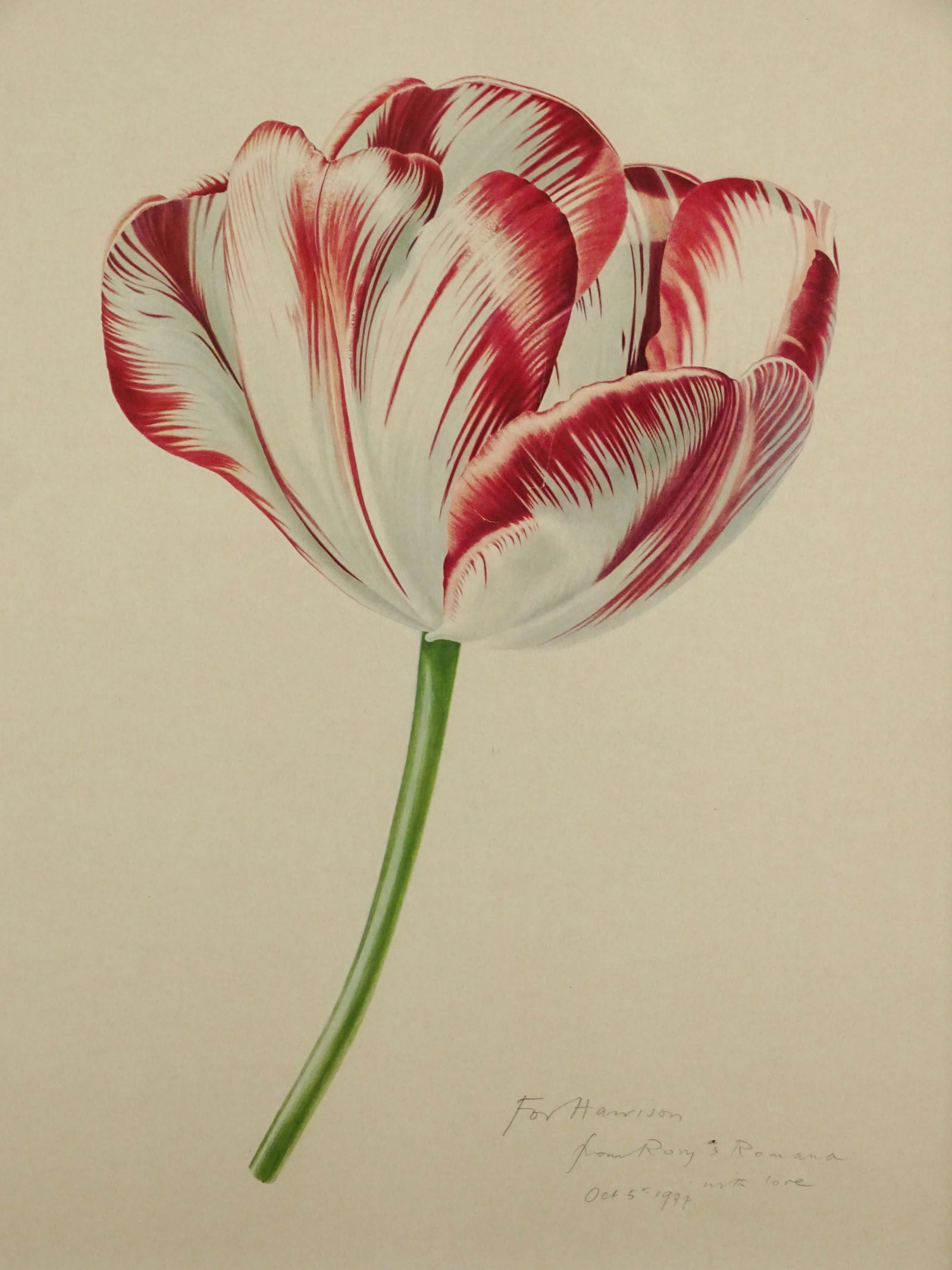Floral Lithograph - 2