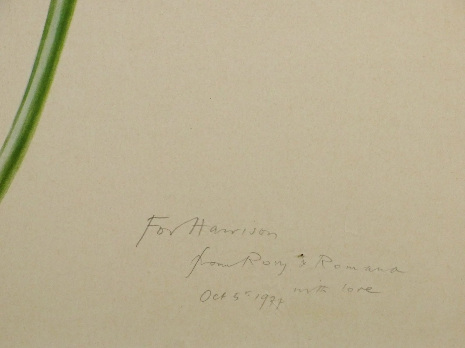 Floral Lithograph - 3