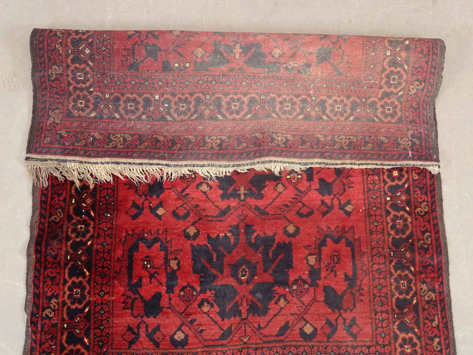 Oriental Rug - 5