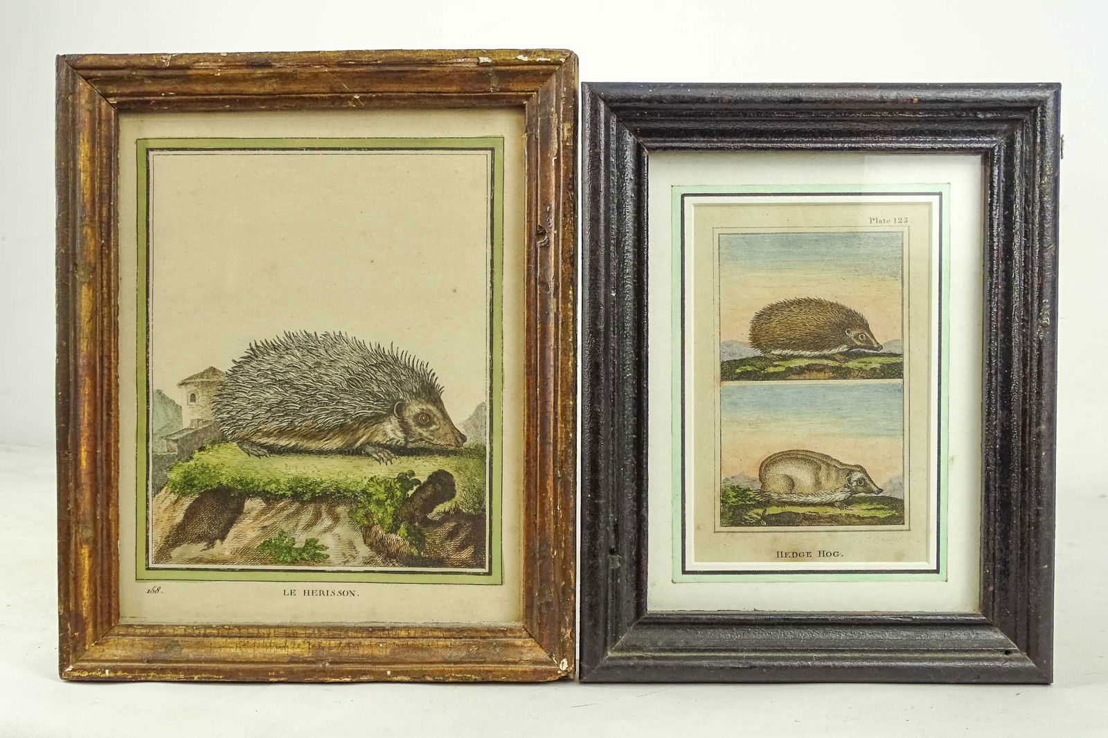 Two 18th c. Dedge Hog Hand Colored Prints: Lot (2) 18th c. hand colored Hedge Hog prints. Frames overall 10" x 8" and 9 1/4" x 7 1/2".