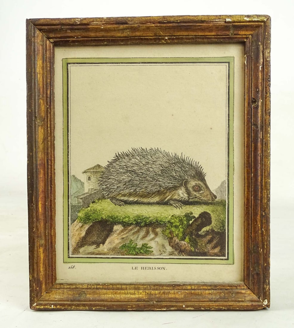 Two 18th c. Dedge Hog Hand Colored Prints - 2