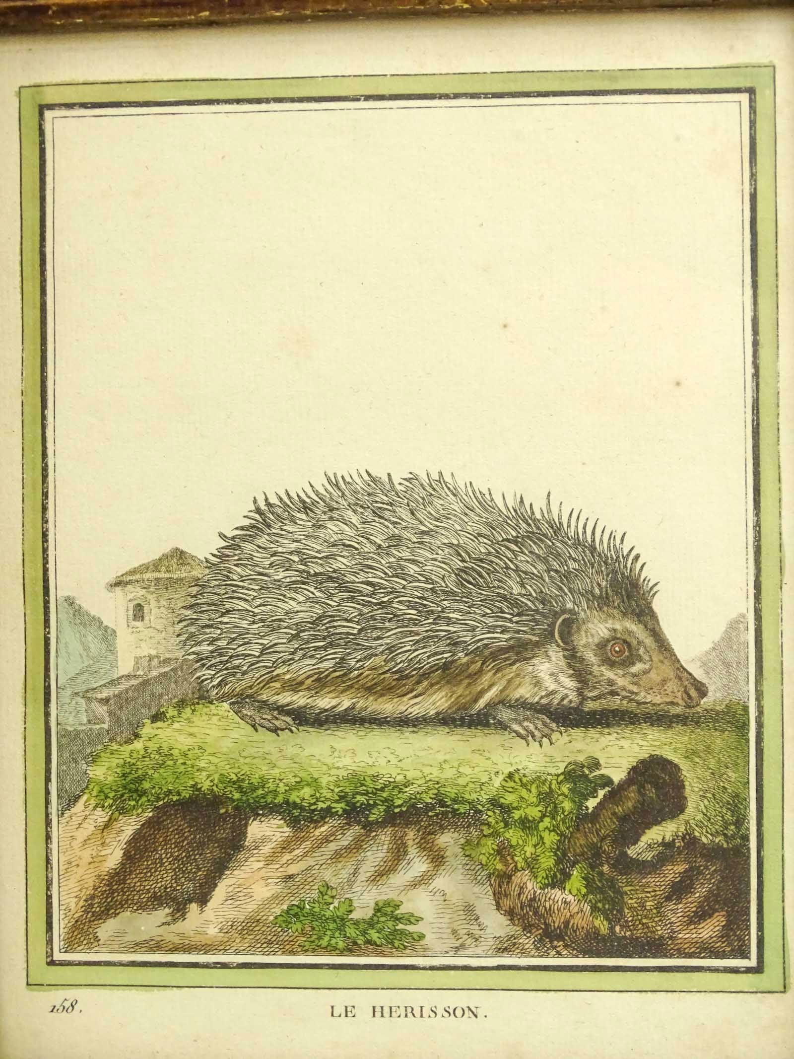 Two 18th c. Dedge Hog Hand Colored Prints - 3