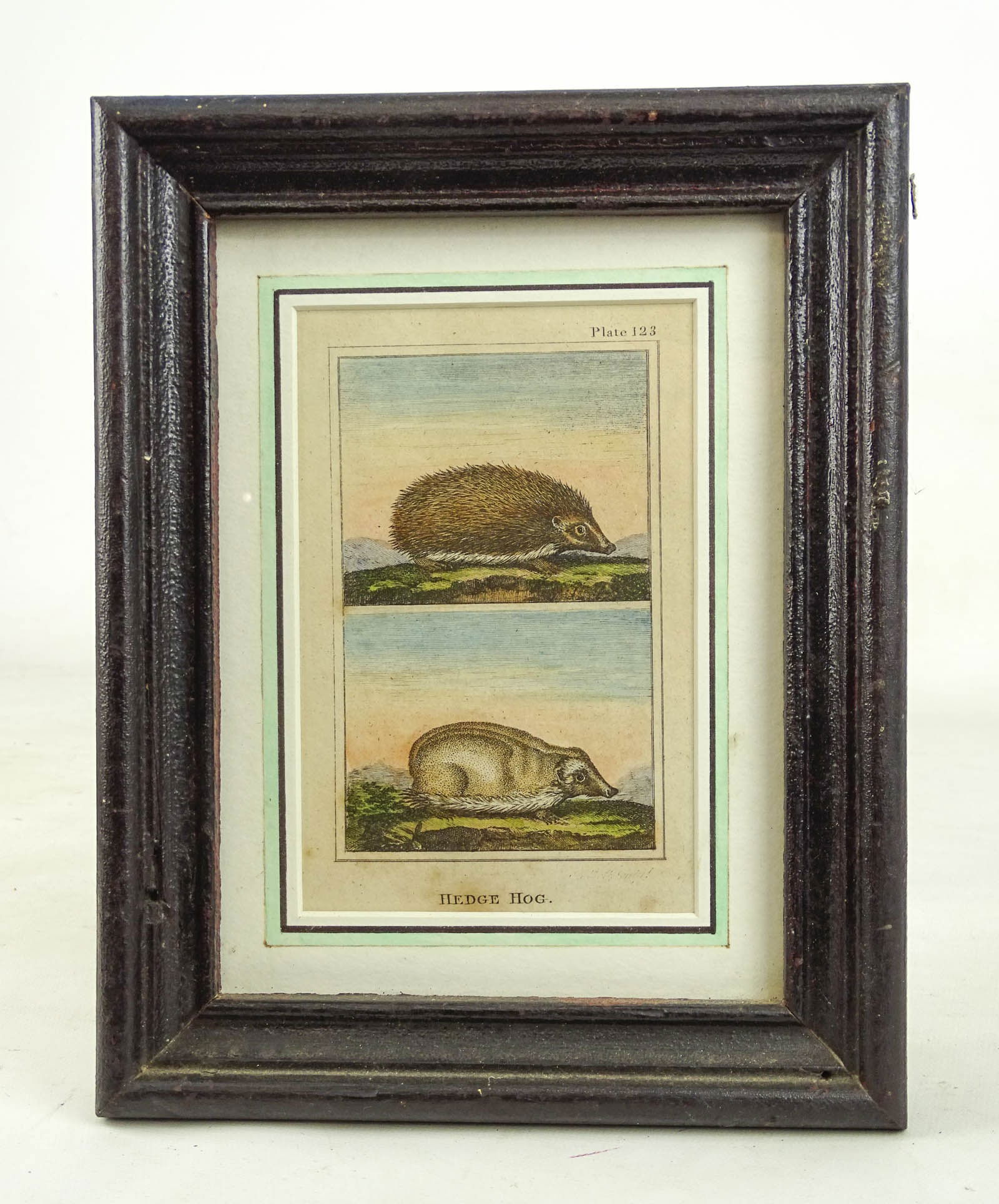 Two 18th c. Dedge Hog Hand Colored Prints - 5