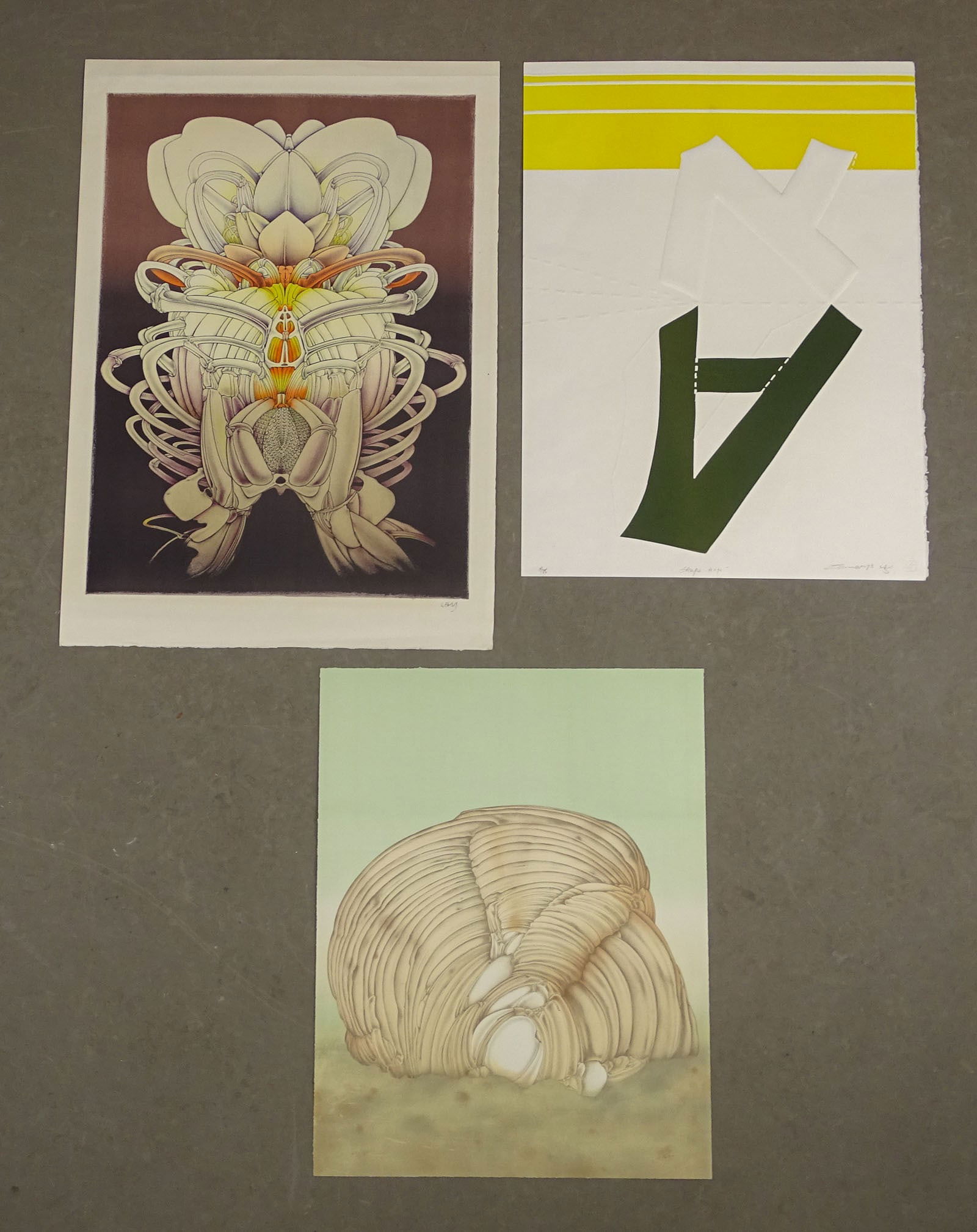 Artwork Lot: Artwork lot including: 1973 Yigal Zemer (Israel b. 1938), Intaglio etching print (signed, 29 2/3" x 22 1/4"), Alain Le Foll lithograph "Shell" (signed, 26 3/4" x 20 3/4"), Alain Le Foll lithograph "Ca