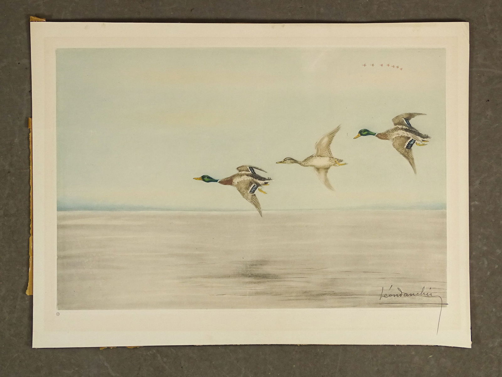 Leon Danchin Signed Lithograph: Leon Danchin pencil signed lithograph of birds in flight. Adhered to backing. 19 1/2" x 26 1/4".