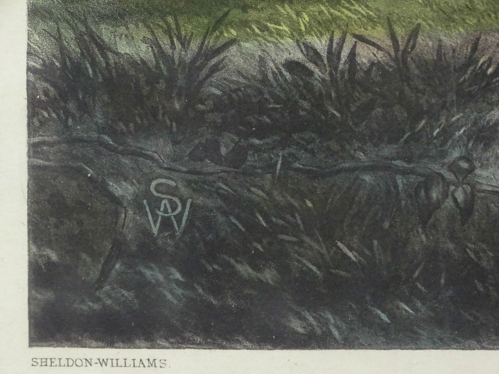 19th c. Fox Hunting Print - 4