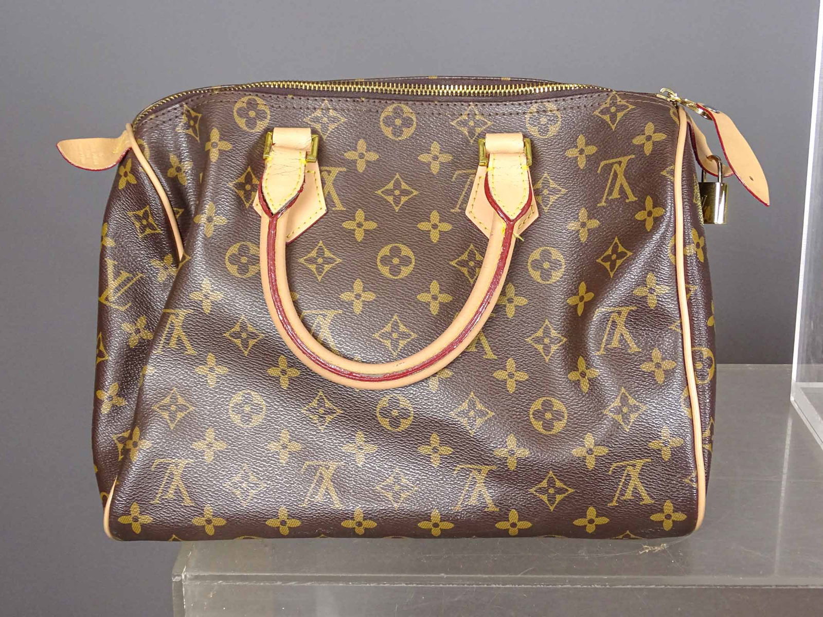 Louis Vuitton Style Lot - 7
