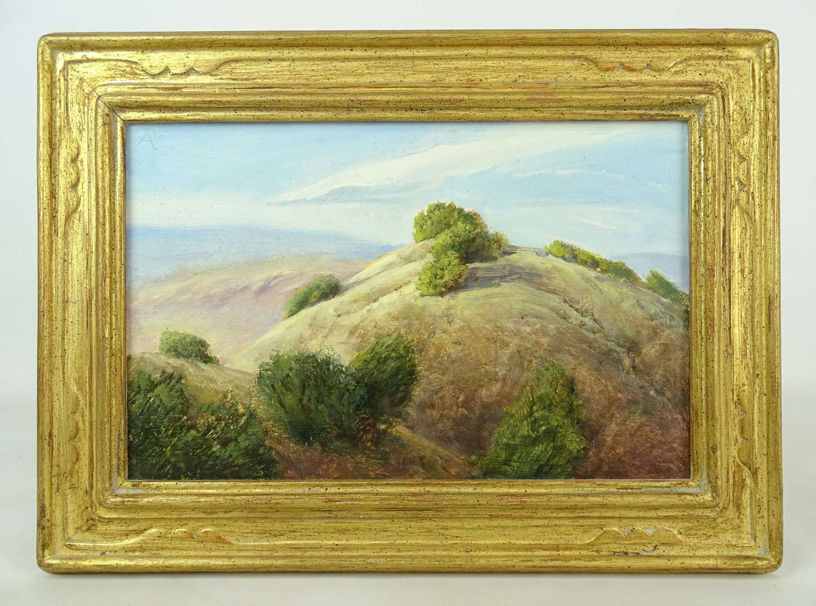 Peter A (PA) Nisbet (b. 1948): Painting: Peter A (PA) Nisbet (b. 1948), Bushes, oil on panel. Frank Croft Gallery label verso. Overall in frame 10 1/2" x 14 1/2".