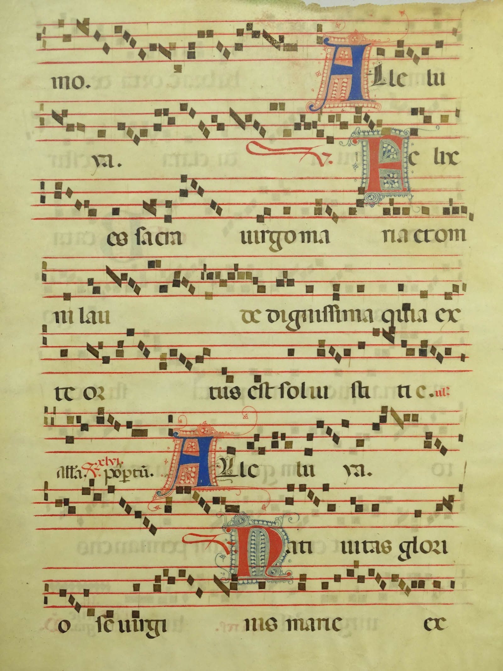 Illuminated Manuscript - 2