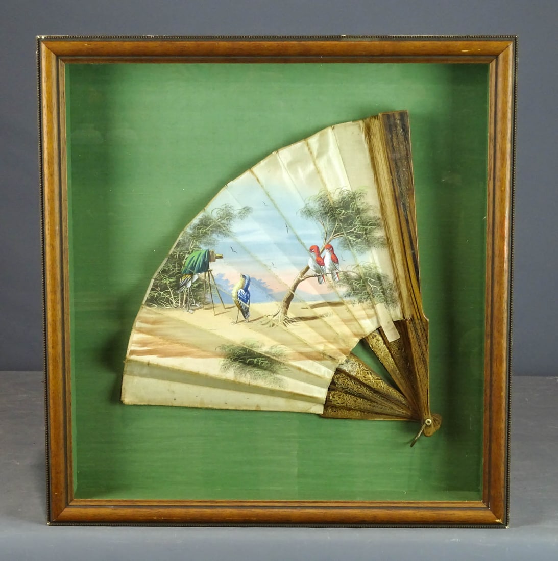 Antique Painted Bird Fan: Folding paper antique fan hand painted with scene of large bird as photographer, taking pictures of a pair of birds in a tree, while another looks on. In shadow box frame. overall in frame 20" x 18".