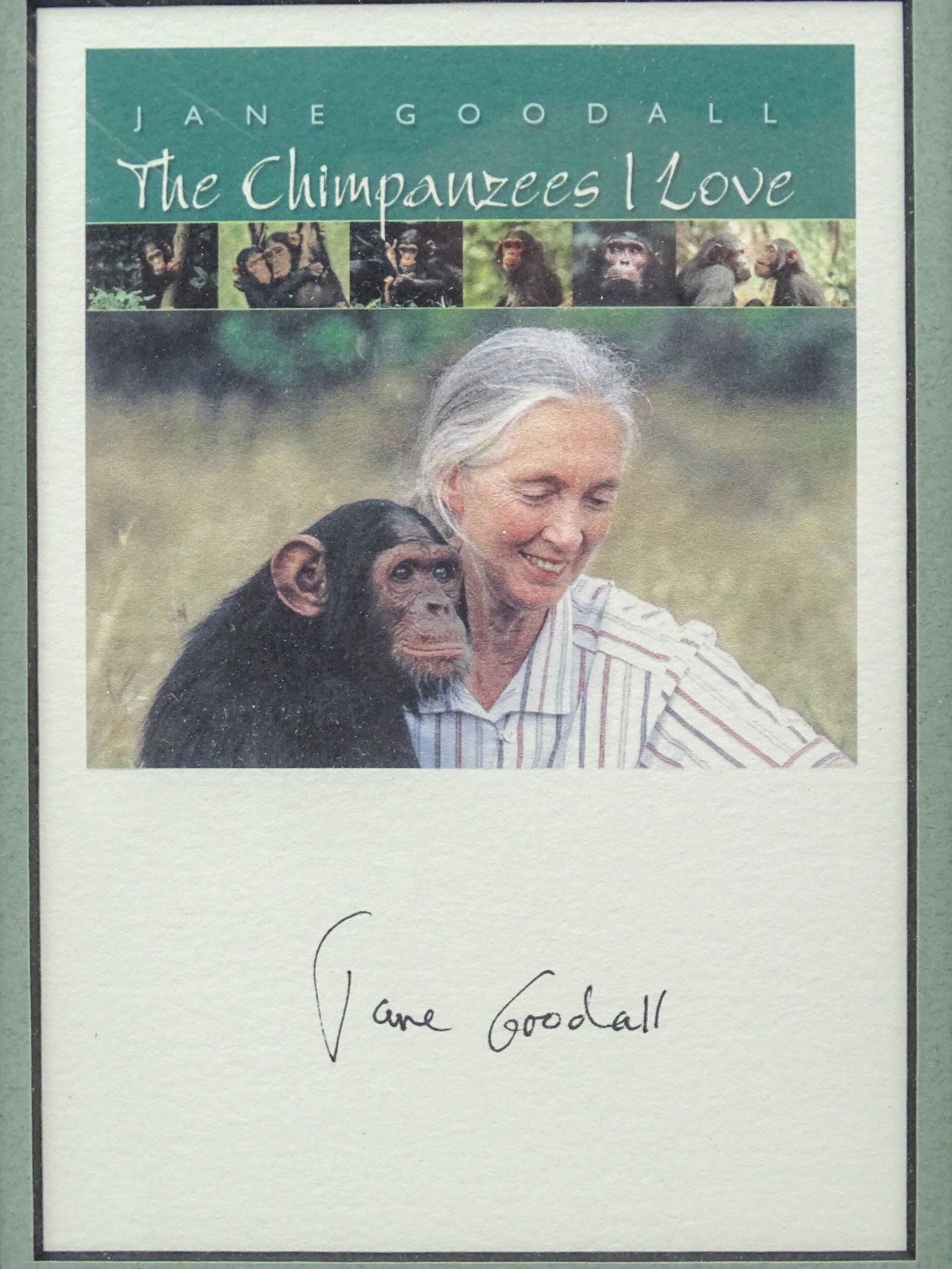 Jane Goodall Autographed Print - 2