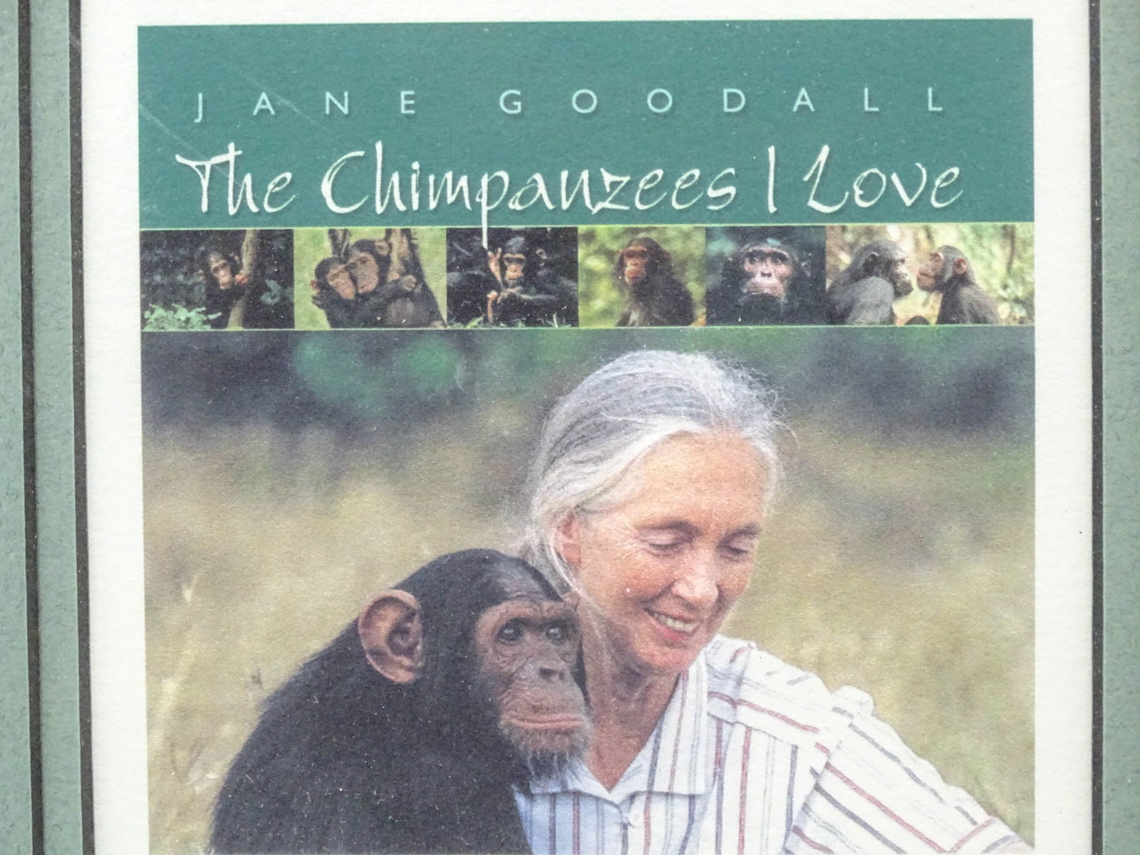 Jane Goodall Autographed Print - 3