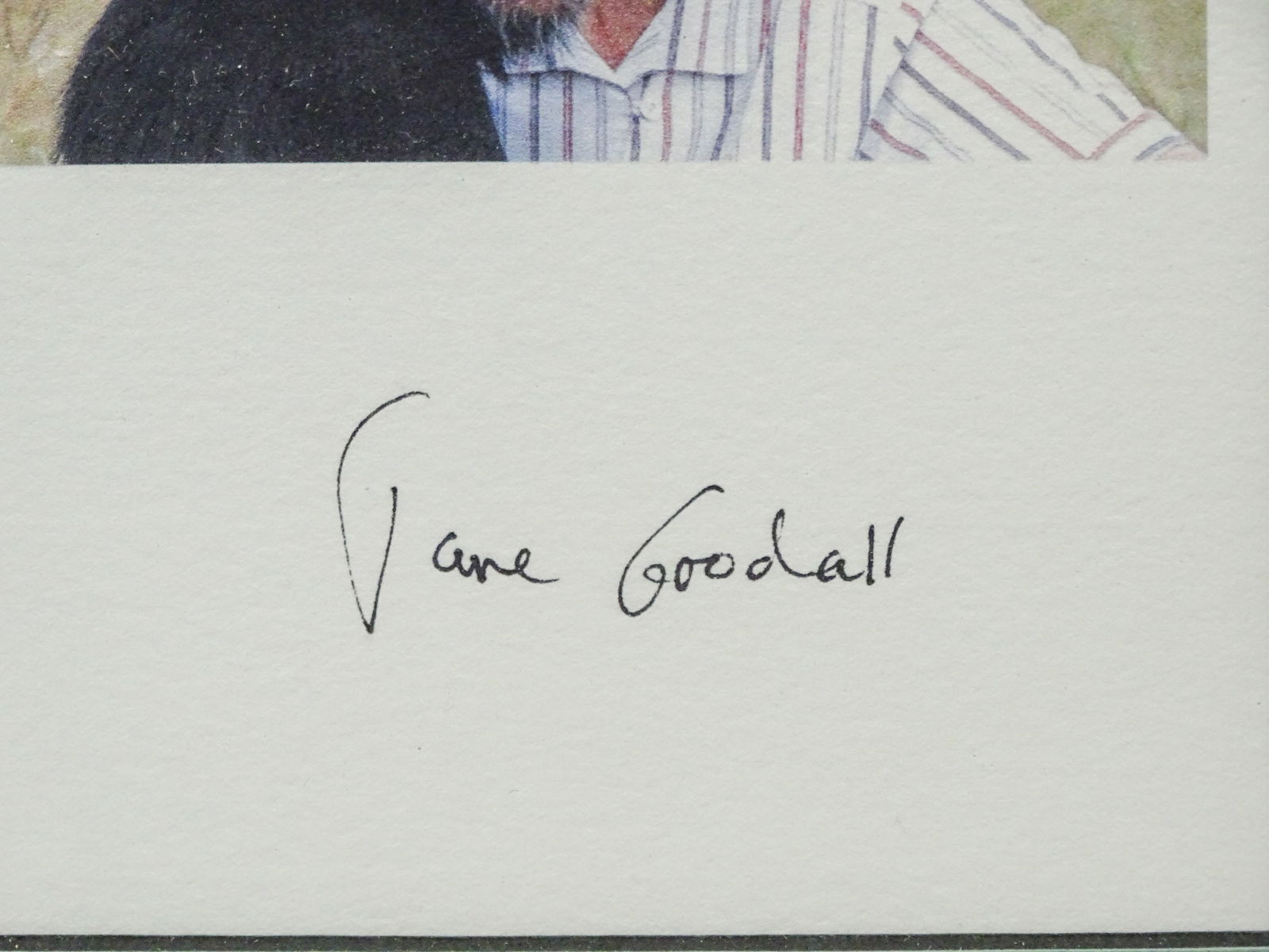 Jane Goodall Autographed Print - 4