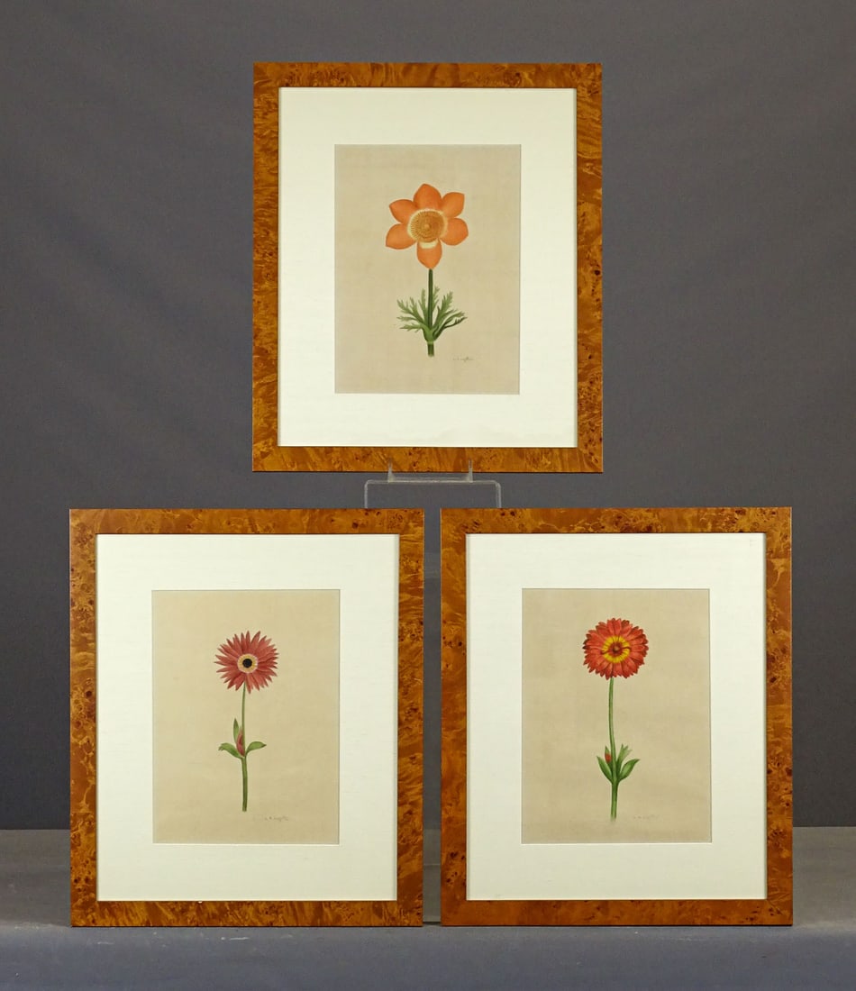 La Roche Laffitte (b. 1946): La Roche Laffitte (b. 1946), three original floral paintings. Nicely framed. Overall in frames 19" x 16".