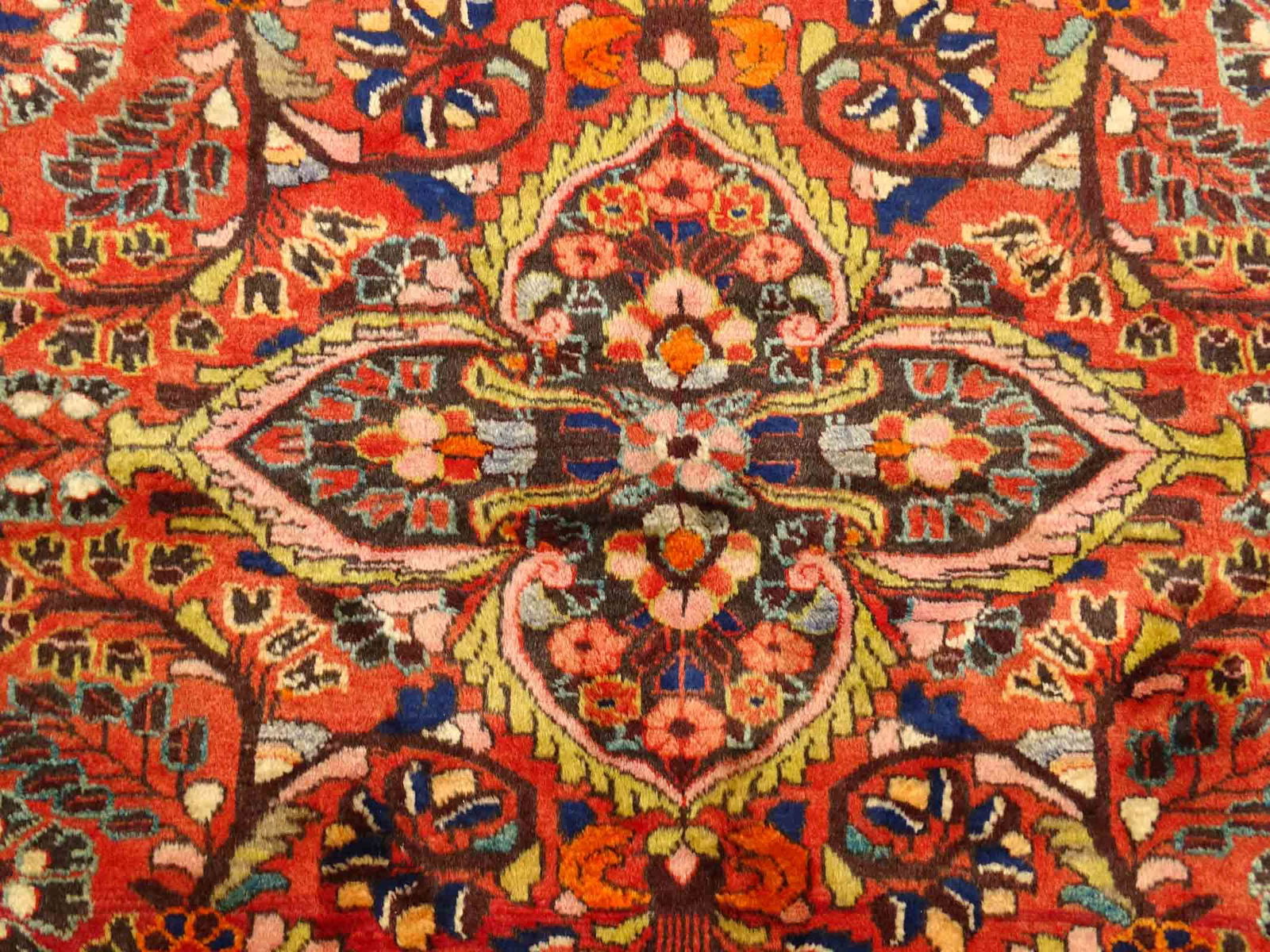 Oriental Scatter Rug - 3