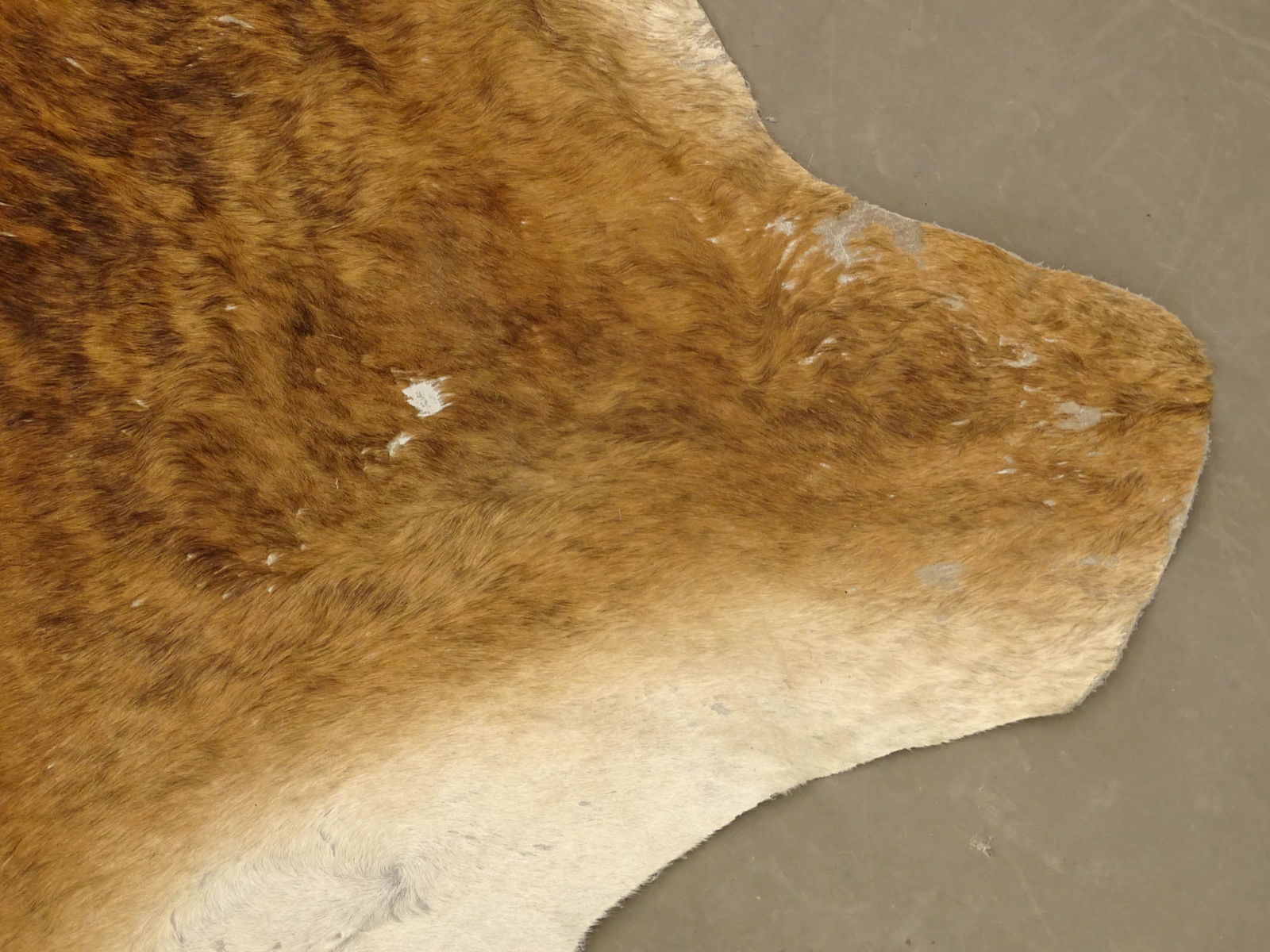 Lot (2) Cowhides - 10